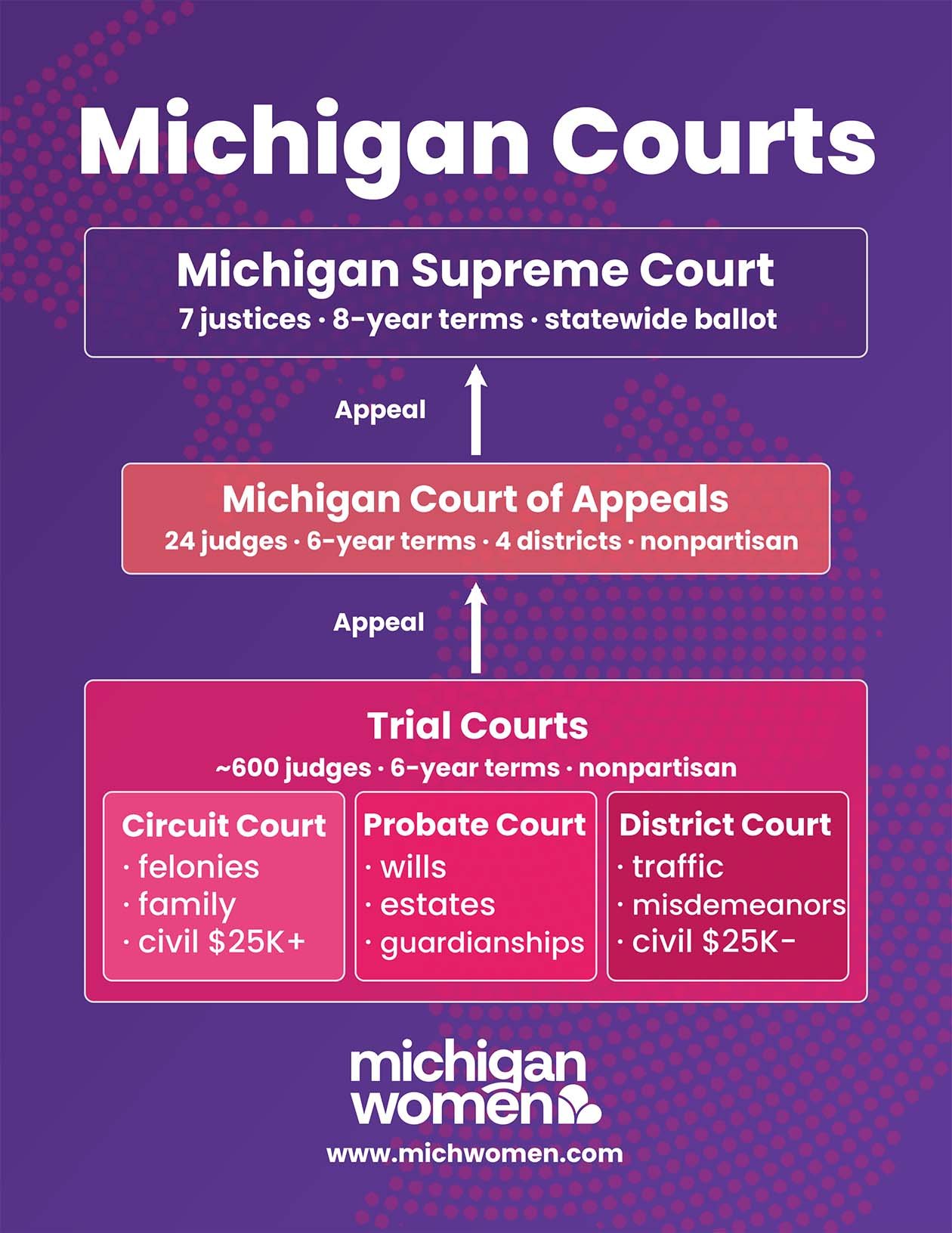 Infographic showing the structure of Michigan courts
