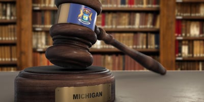Michigan Judicial Election 2026 Voter Guide