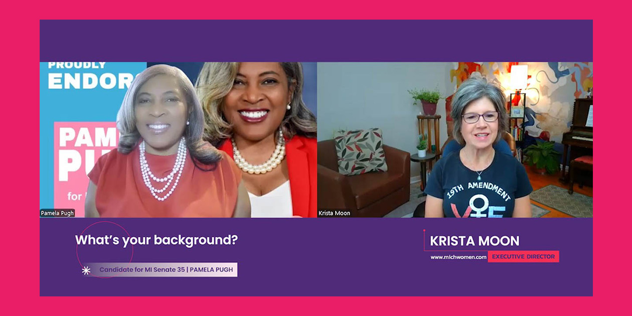 Michigan Senate District 35 2026 Candidates