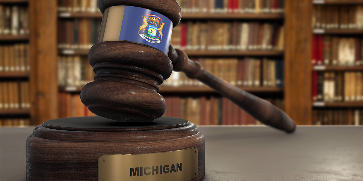 Michigan Judicial Election 2026 Voter Guide