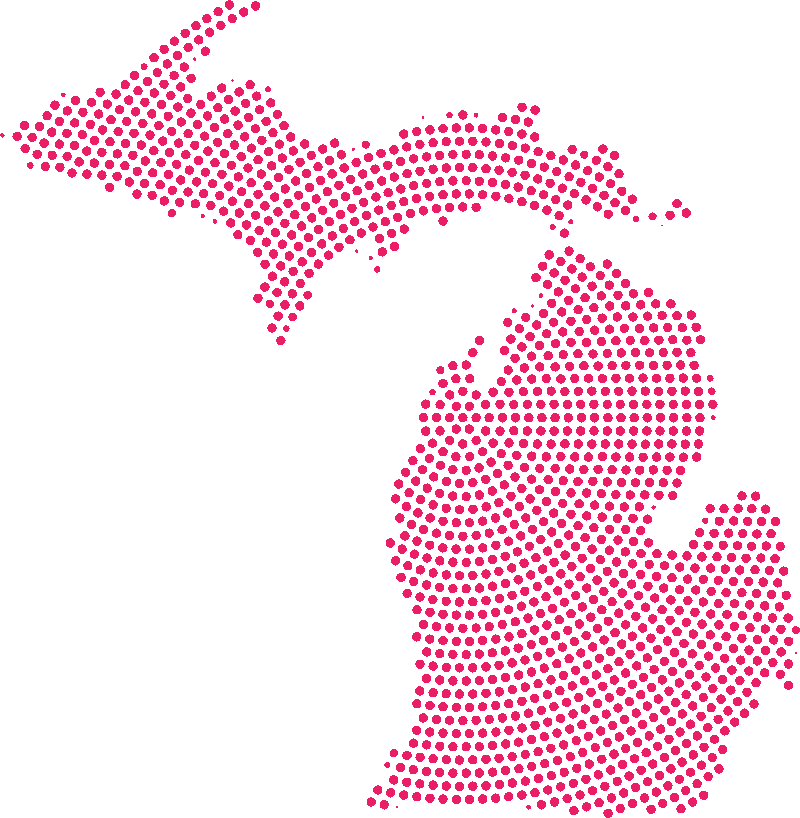 michigan-dotted-pink-800x818px