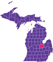 Local Government